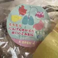 もちもちにんげんのからだぬいぐるみBIG