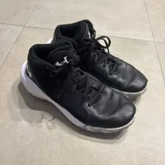 Item thumbnail for item 6b6826a6-6500-4fcd-bdaa-62abab761af5