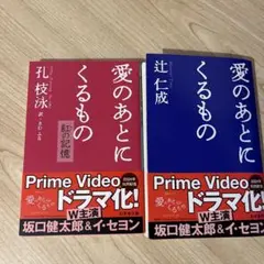【大処分・２冊セット1000→850】愛のあとにくるもの