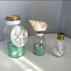 シェル レターボトル インテリア 貝殻 珊瑚 瓶詰め