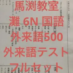 馬渕教室 灘 6N 国語 外来語500 + 外来語テスト フルセット