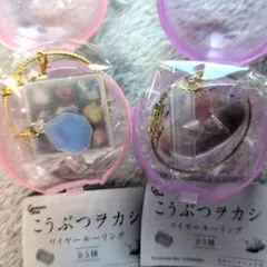 こうぶつヲカシワイヤーキーリング（2種）