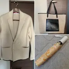 シップス ニット＋トートバッグ　ムーンバット日傘　３点セット