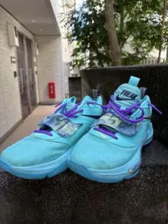 NIKE FREEK AQUA 27.0cm
