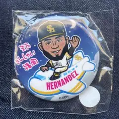 【匿名配送】若鷹ガチャ 缶バッジ ヘルナンデス