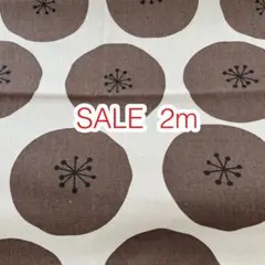 ラスト3点 SALE 2m あんぱんドット ブラウンドット オックス