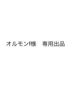 ホルモンf様 専用出品