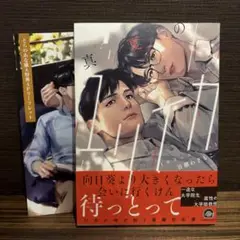 真夏のユリイカ　とらのあな特典リーフレット付き