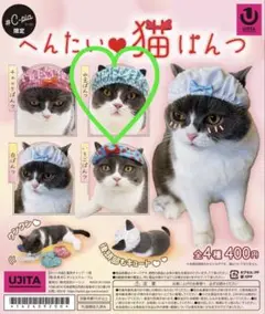 Item thumbnail for item af587c91-05a6-4f59-9abe-d29b450bb674