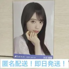 矢田萌華　ヨリ　乃木坂　生写真　真夏の全国ツアー2025 メッシュニット