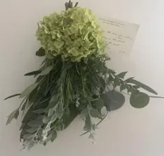 アナベル　紫陽花　ユーカリ　リューカデンドロン　　スワッグ　ドライフラワー