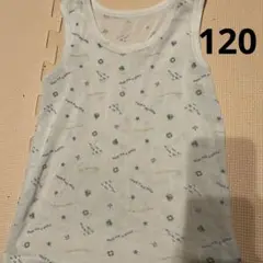 Item thumbnail for item a38d86fc-188a-45b9-839f-55964e2a2494