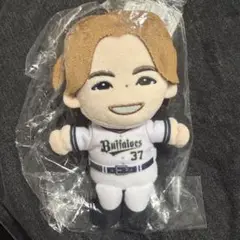 石川亮 ぬいぐるみ