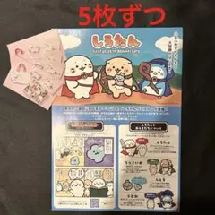 しろたん しろたんクエスト 東京駅 チラシ フライヤー おせち カード