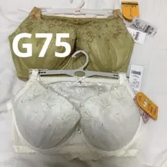 Item thumbnail for item b84e22ae-582a-436c-9bdf-a4ea6aff9e2d
