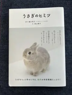 Item thumbnail for item 2c59502f-de0f-448e-bc3d-28e4eb30ed1b