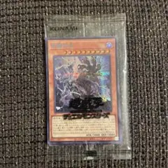 遊戯王 - 団結の力　ブルーシークレット　だいちゃんさま用 遊戯王 団結の力 ブルシク ブルーシークレット 未開封 当選書