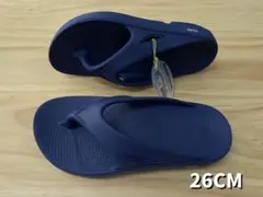 Item thumbnail for item 1c7cde28-7d0e-4c91-bbab-c9f9e62ef52c