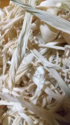 Item thumbnail for item 2a74a555-5418-416f-877b-60e95c98c71c