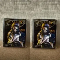 トレカアイテムくじ ブラックラグーン E賞 キャラクタースリーブEX ロベルタ