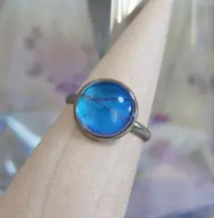 お正月セール!【モルフォのシルバーリング 10mm】