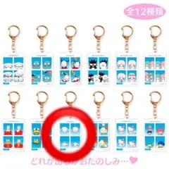 【在庫ラス1】サンリオ シークレット証明写真風キーホルダー2 こぎみゅん