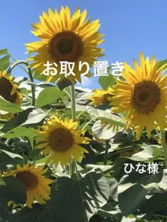 チャーム