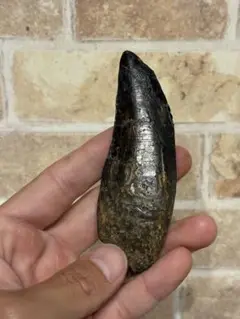 Item thumbnail for item 48e81ccc-3c61-43b4-ad11-b591988c93d0