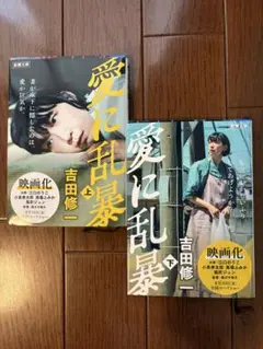 愛に乱暴 上下巻セット