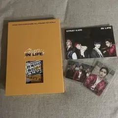 straykids ストレイキッズ スキズ ハン コンプ in生 in life