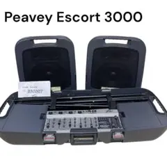 2025年最新】peavey escortの人気アイテム - メルカリ