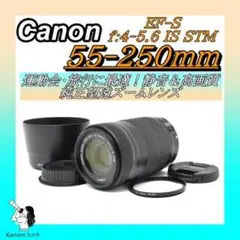 Item thumbnail for item 9fee2497-77e5-4ff1-bb26-352aa3756175
