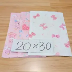 女の子柄☆ランチョンマット20×30♪3枚セット