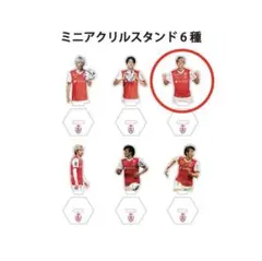 スタッドランスジャパンツアー 関根大輝 ミニアクスタ