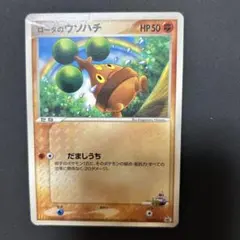 【2点目から200円引き】ロータのウソハチ　管理番号:25081914