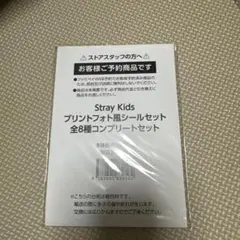 StrayKids ファミマ プリントフォト風シールセット
