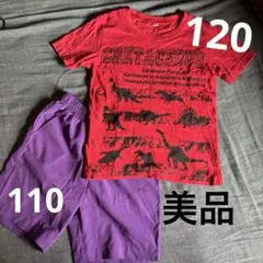 恐竜プリント赤Tシャツ 120 紫パンツセット