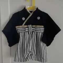 Item thumbnail for item 8b0ec602-16a8-4d34-98f8-cf9dcacb246b