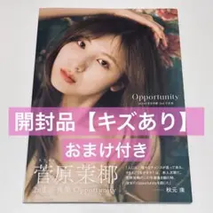 SKE48 菅原茉椰 写真集『Opportunity』 キズあり品