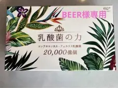 乳酸菌の力