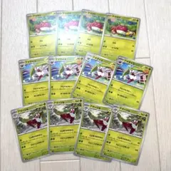 ＊アマカジ４枚 ＊アママイコ４枚 ＊アマージョ４枚