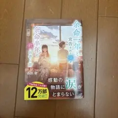 余命一年と宣告された僕が余命半年の君と出会った話
