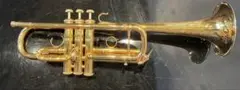 Item thumbnail for item 1dcaa019-2bfb-4a6d-8738-6876d64587a0