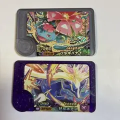 ポケモンフレンダ【フシギバナ、ゼルネアス】2セット
