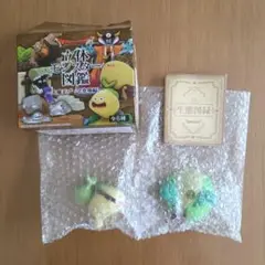 立体モンスター図鑑　たまねぎスライム〈かわ無し〉