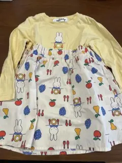 Item thumbnail for item c8f6468e-041a-4831-b114-274e49708f1f