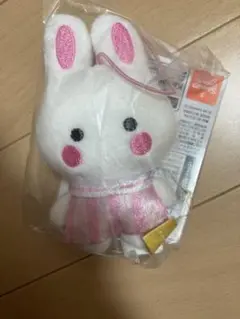 サンリオキャラクターズ　タイニーチャム　マスコット