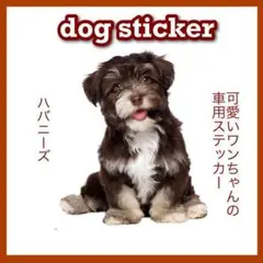 3D カーステッカー 黒 ハバニーズ シール カー用品 車体