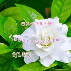 ෆメイプルෆ様 おまとめパーツ(˘͈ᵕ ˘͈ *)♡