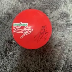 Item thumbnail for item 557e24fd-d82f-4e93-b4bd-5a2755c30dca